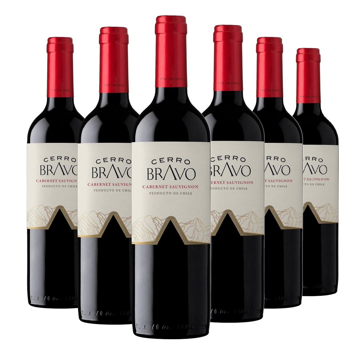 Kit 6 Cerro Bravo Cabernet Sauvignon