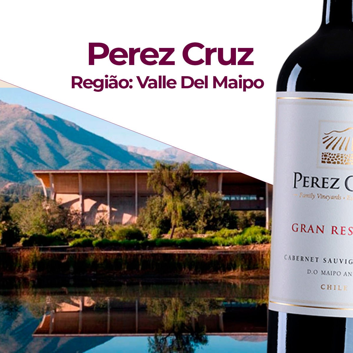 Perez Cruz Gran Reserva Cabernet Sauvignon