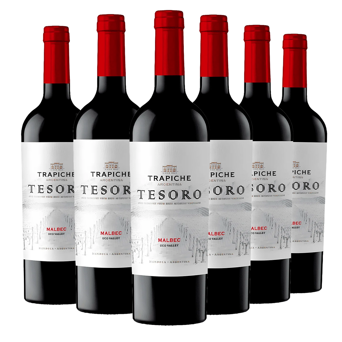 Kit 6 Trapiche Tesoro Malbec