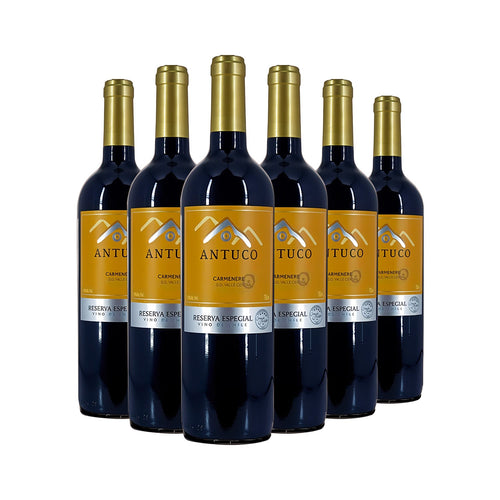 Kit 6 Antuco Reserva Especial Carménère