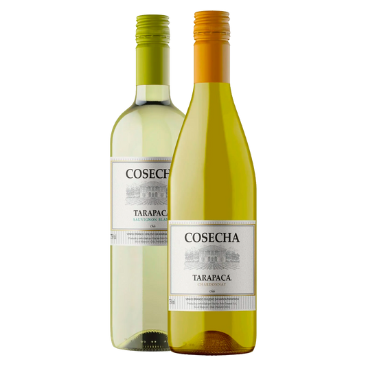 Duo Brancos Tarapacá Cosecha