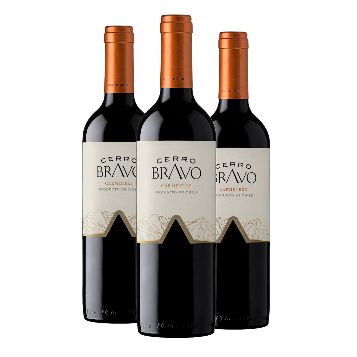 Kit 3 Cerro Bravo Carménère