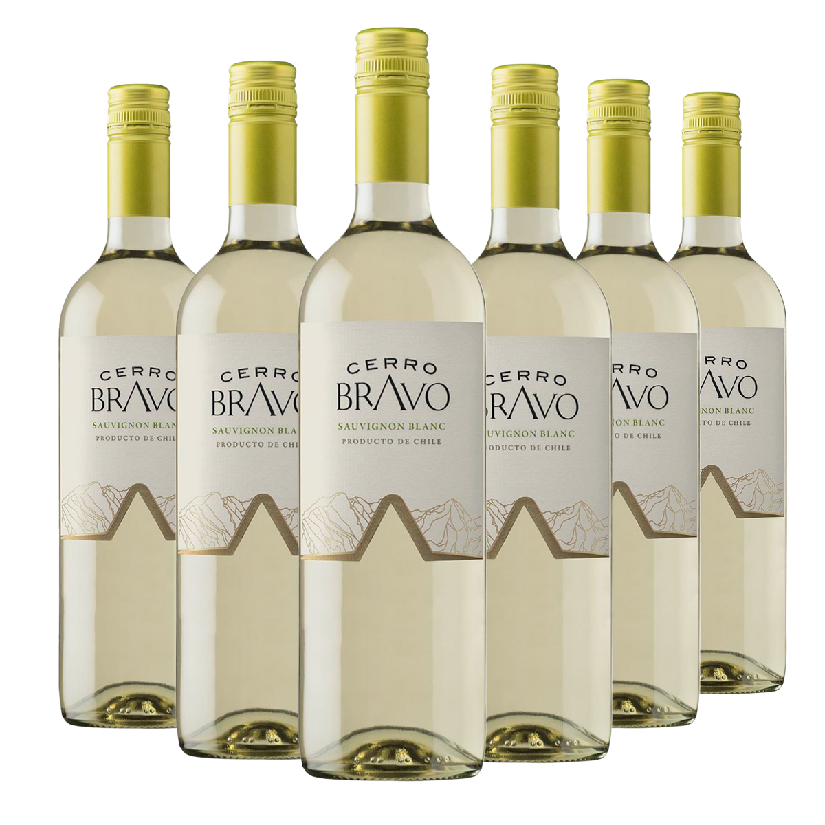 Kit 6 Cerro Bravo Sauvignon Blanc